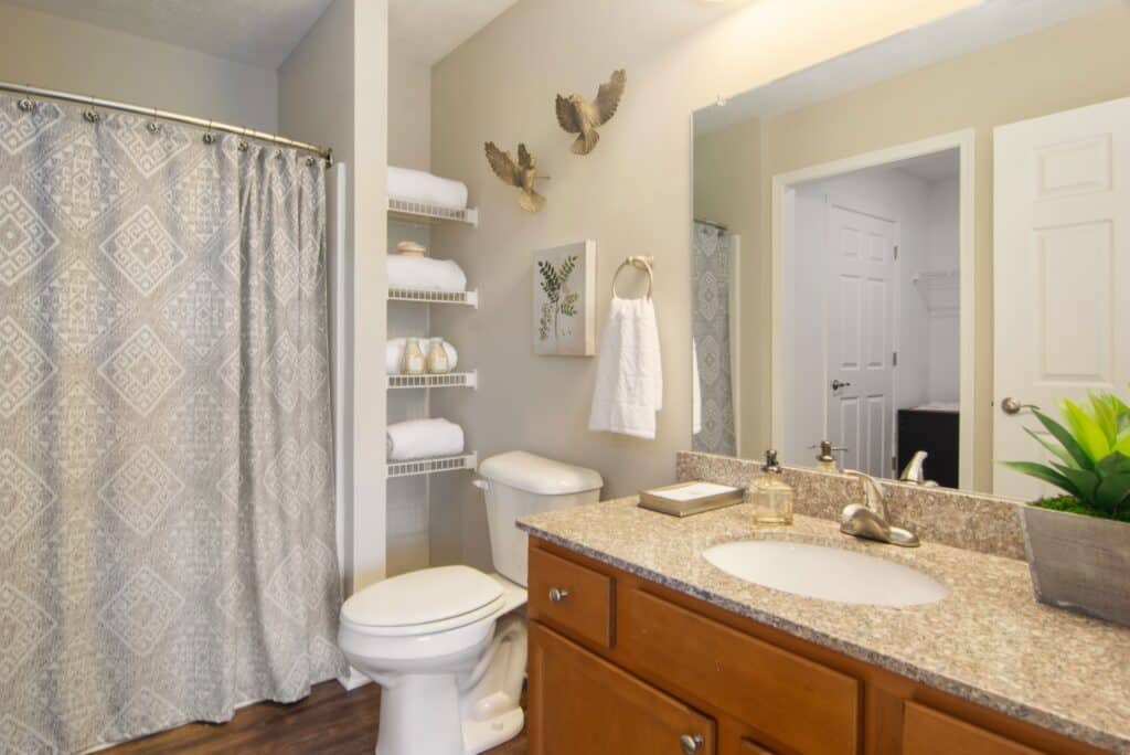 A bathroom with a shower curtain, toilet, shelf with towels, countertop sink, decorative wall art, and a potted plant on the vanity.