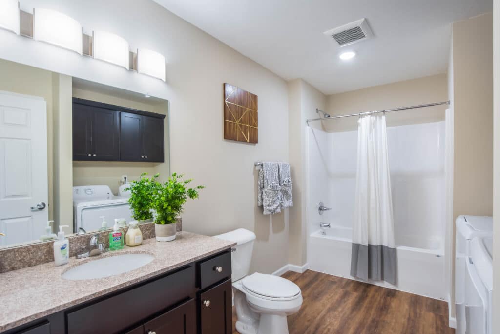 Modern bathroom with a vanity, sink, and mirror on the left, toilet in the center, bathtub with shower curtain on the right, and washer and dryer in the background.