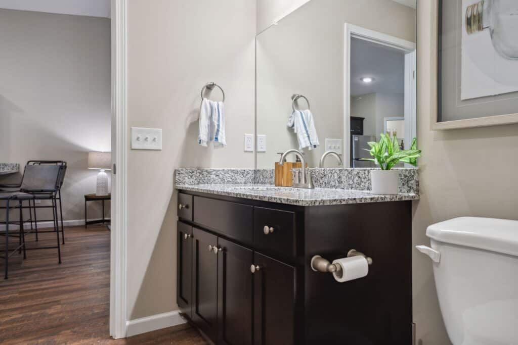 A bathroom with a granite countertop vanity, under-sink cabinets, a toilet with a mounted paper holder, and a wall mirror; a kitchen area is visible in the background.