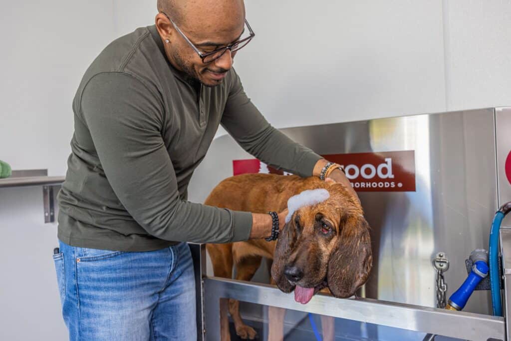 A man washes a brown dog in a stainless steel tub, gently scrubbing its head with soap at a pet grooming station.