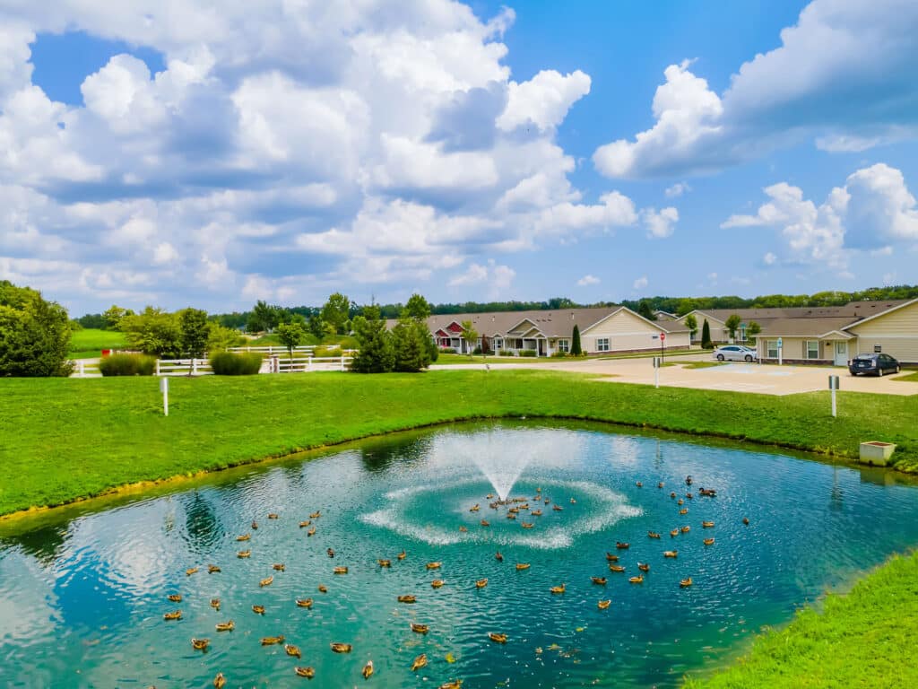 A small pond with a central water fountain, surrounded by grass, with many ducks swimming; residential houses and parked cars in the background under a partly cloudy sky.