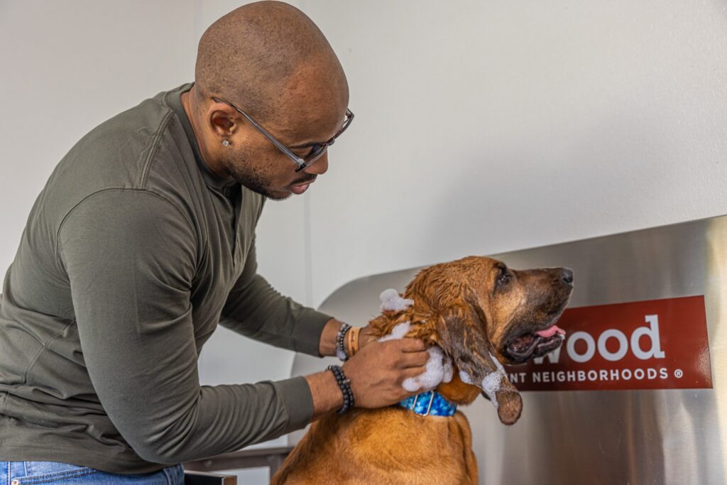A man in glasses and a green shirt washes a brown dog with soap suds at a pet washing station.