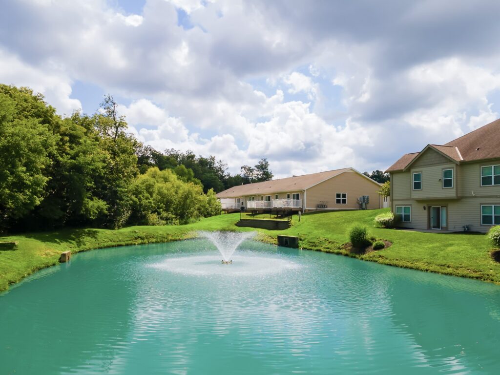 Small pond with a water fountain surrounded by green grass, trees, and residential houses under a partly cloudy sky.