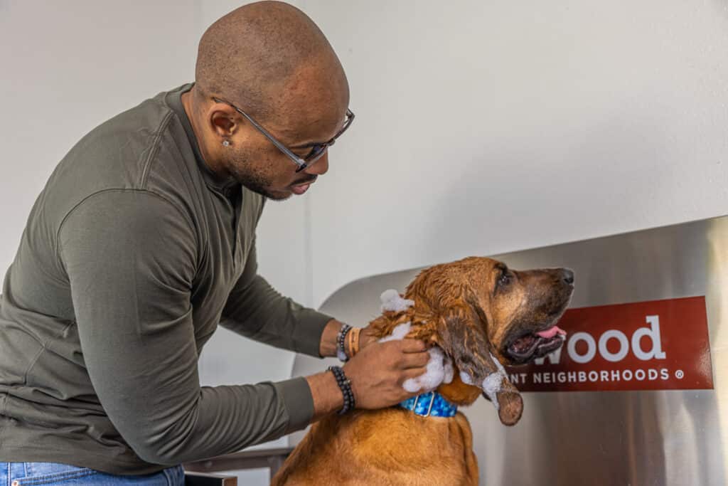 A man washes a brown dog, scrubbing its neck with soap in a pet washing station.