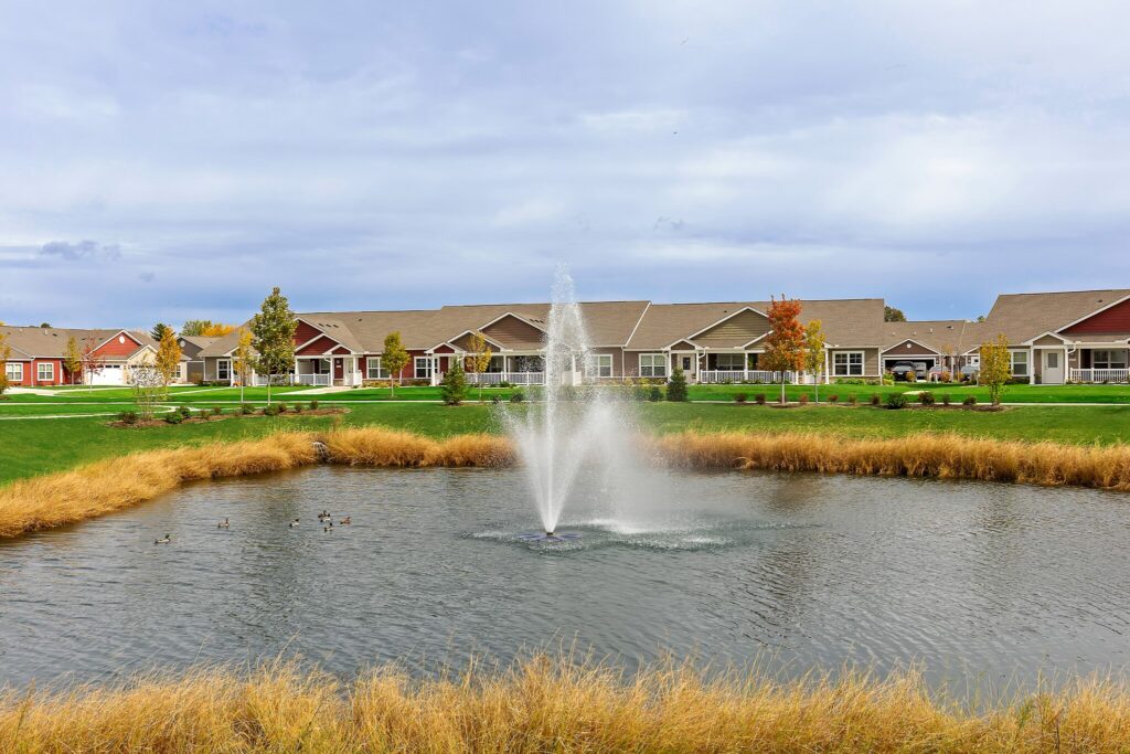 A pond with a central water fountain, surrounded by yellow grass, with several ducks and a row of single-story houses in the background under a cloudy sky.