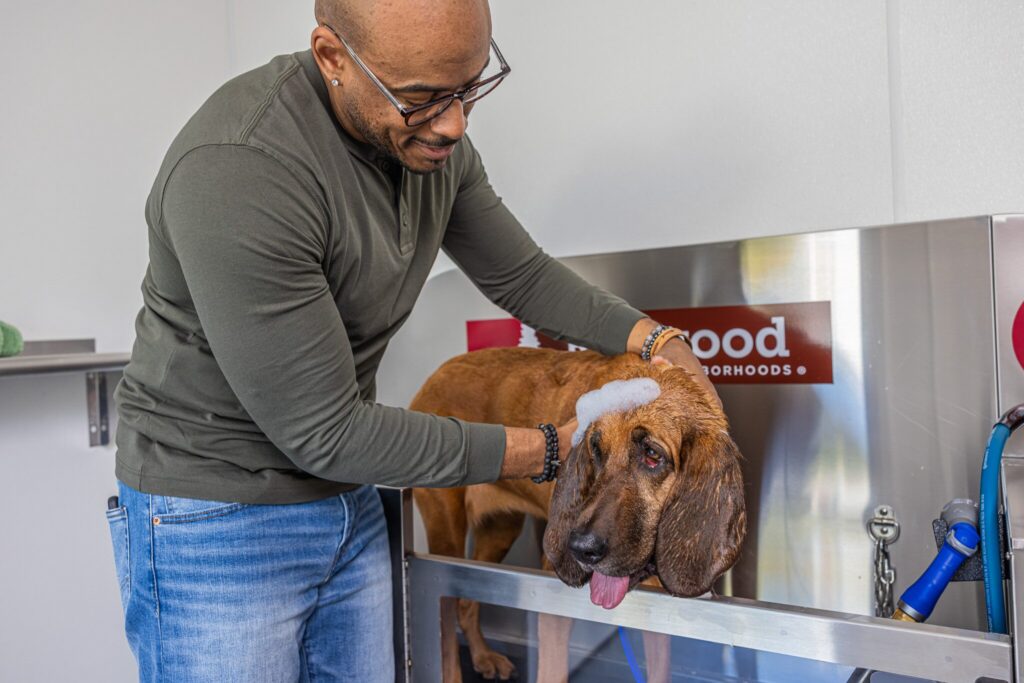 A man washes a brown dog in a stainless steel pet bathing station, with soap suds on the dog's head.