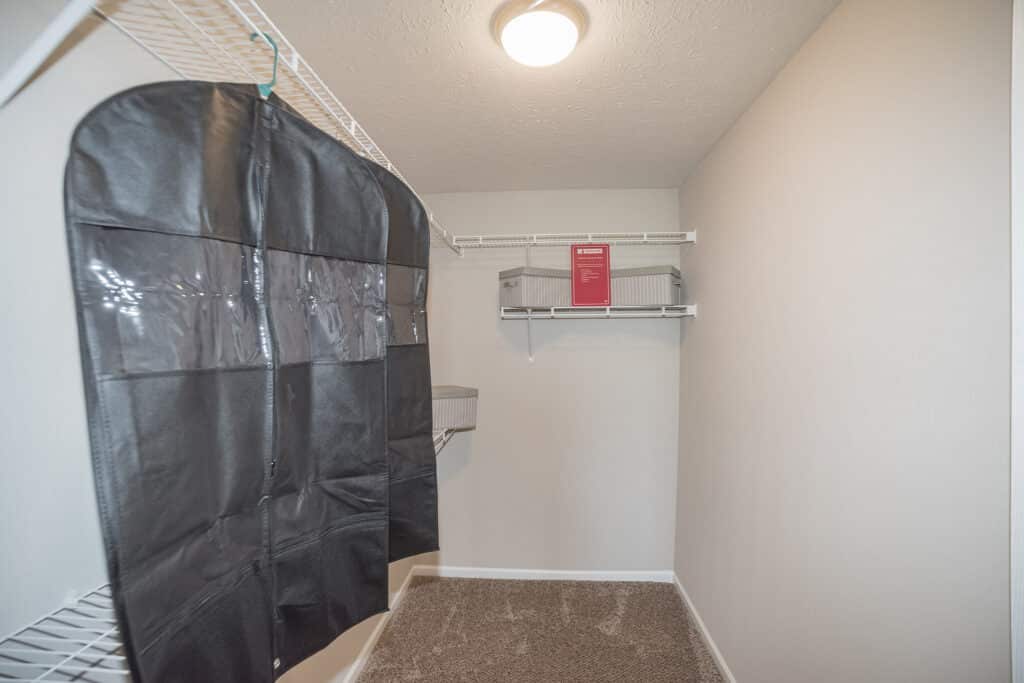 Walk-in closet with beige carpet, wire shelving, a black hanging organizer, and a light fixture on the ceiling.
