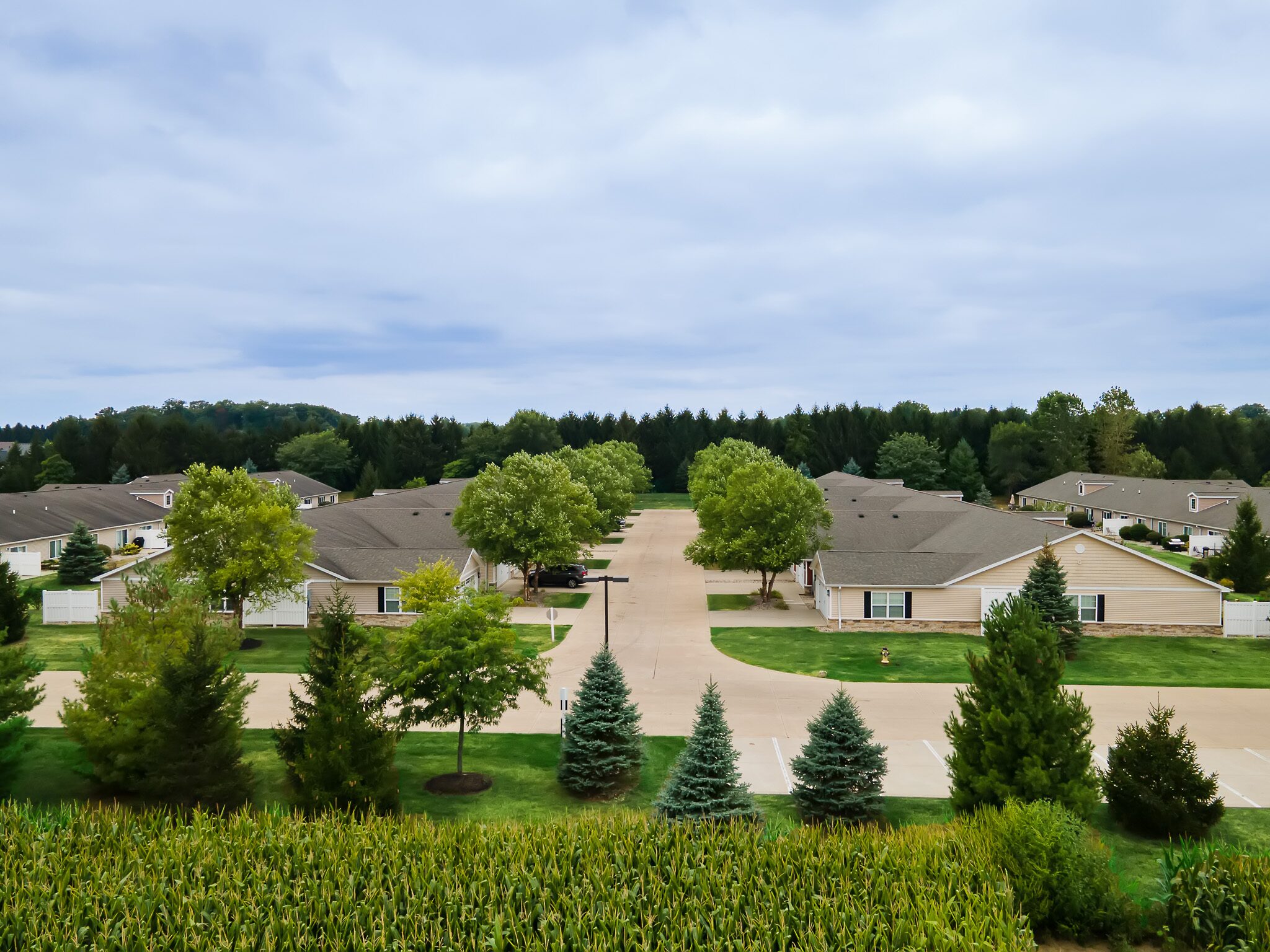 Aerial view of a suburban neighborhood with single-story houses, green lawns, trees, a central road, and a cornfield in the foreground under a cloudy sky.
