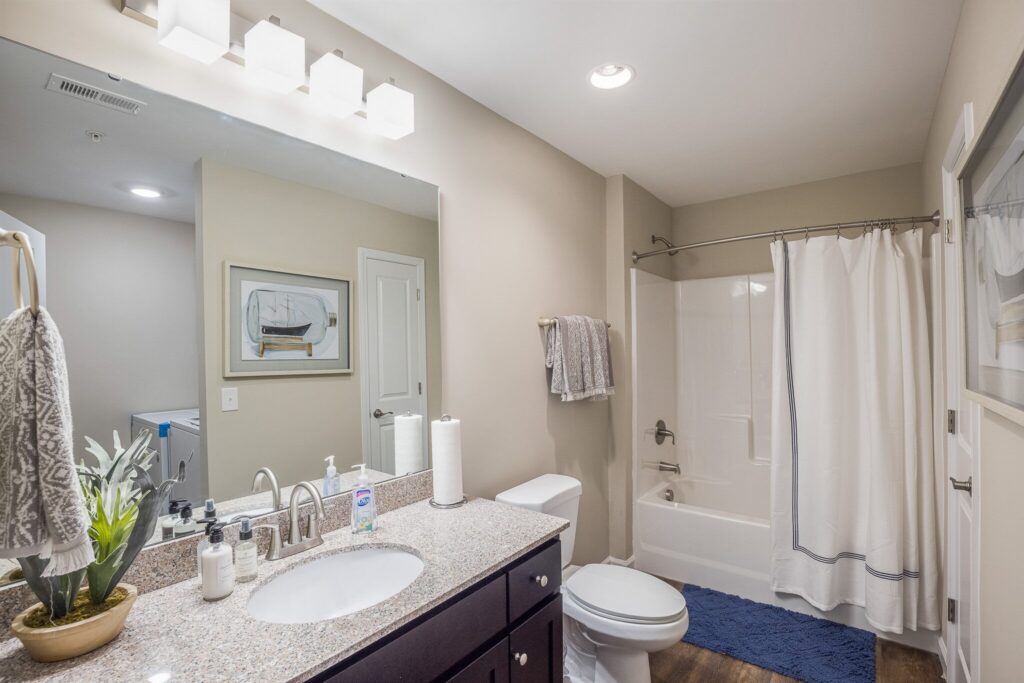 Modern bathroom with a granite countertop, single sink, toilet, bathtub with shower curtain, towel, blue rug, and decorative plant on the counter.