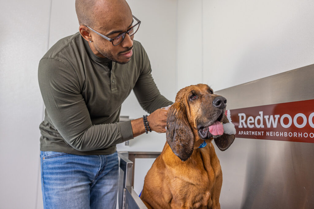A man bathes a large brown dog in a stainless steel tub next to a sign that reads “Redwood Apartment Neighborhood.”.
